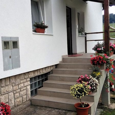 Guesthouse Bor Plitvice Lakes Plitvicka Jezera Luaran gambar