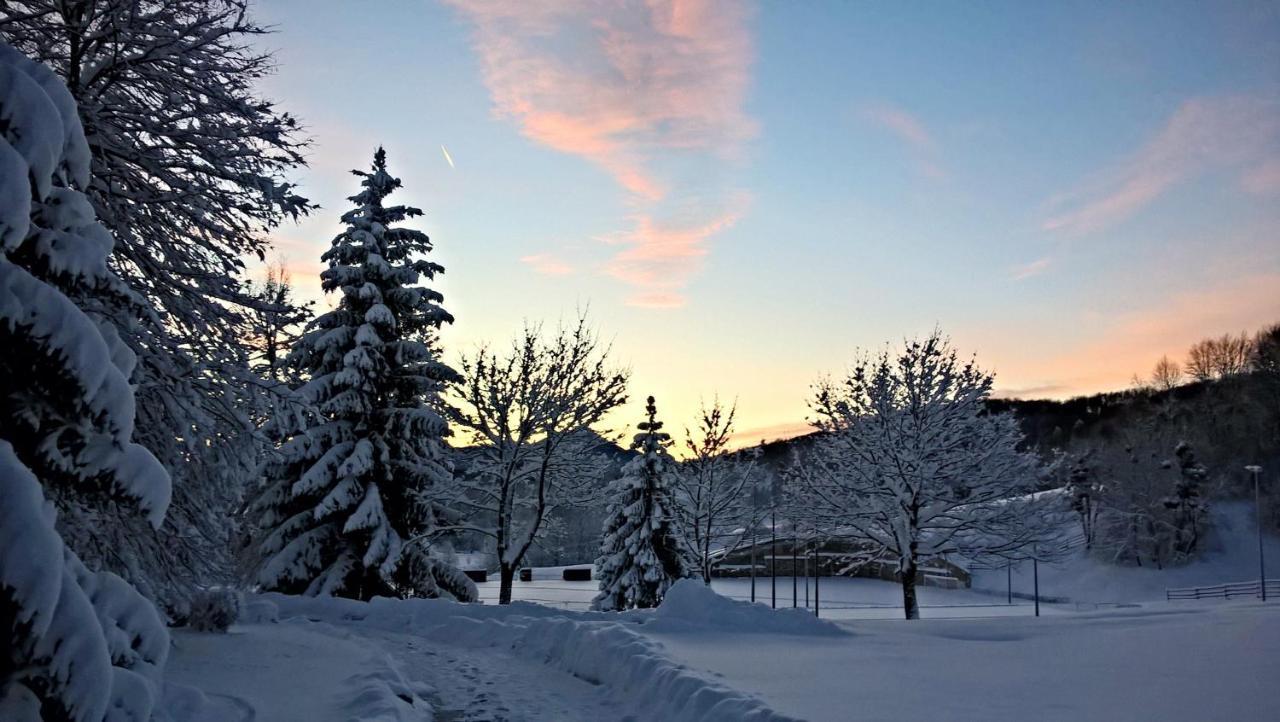 Guesthouse Bor Plitvice Lakes Plitvicka Jezera Luaran gambar